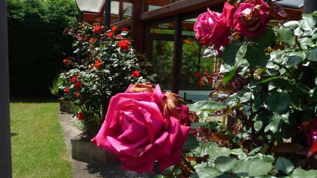 Logis La Rose Des Vents Hotel Volvic Luaran gambar